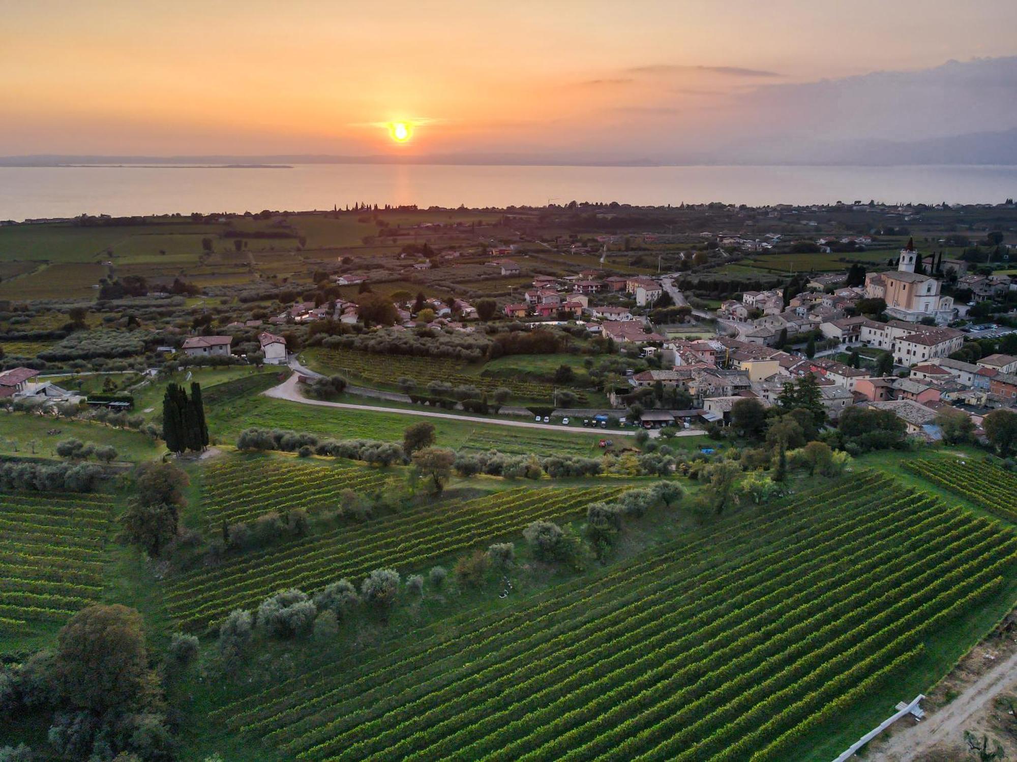 Villa Calicantus Bardolino Eksteriør bilde